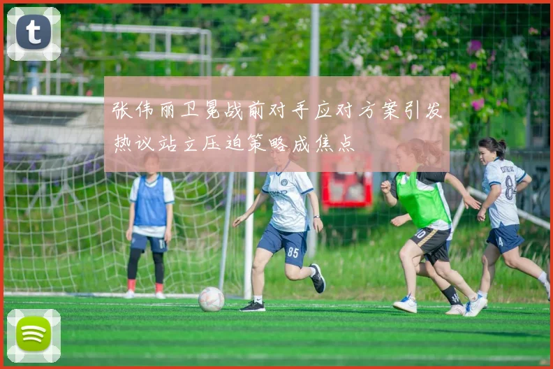 张伟丽卫冕战前对手应对方案引发热议站立压迫策略成焦点